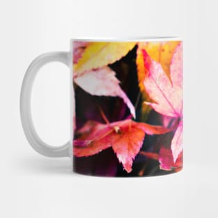 Photography - Petrichor Mug